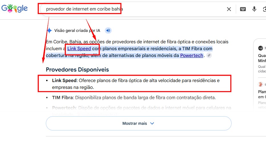 Resultado de busca no Google - Link Speed